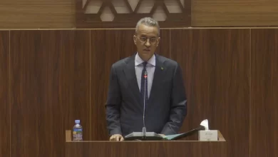 وزير الصيد يعلن تحقيق مليار دولار كعائدات تصدير وينفي استنزاف الثروة السمكية وزير الصيد يعلن تحقيق مليار دولار كعائدات تصدير وينفي استنزاف الثروة السمكية